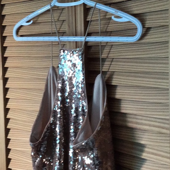 Sequins on silk - Picture 3 of 4